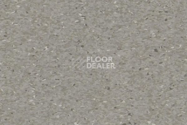 Линолеум Tarkett iQ Granit Acoustic CONCRETE MEDIUM фото 1 | FLOORDEALER